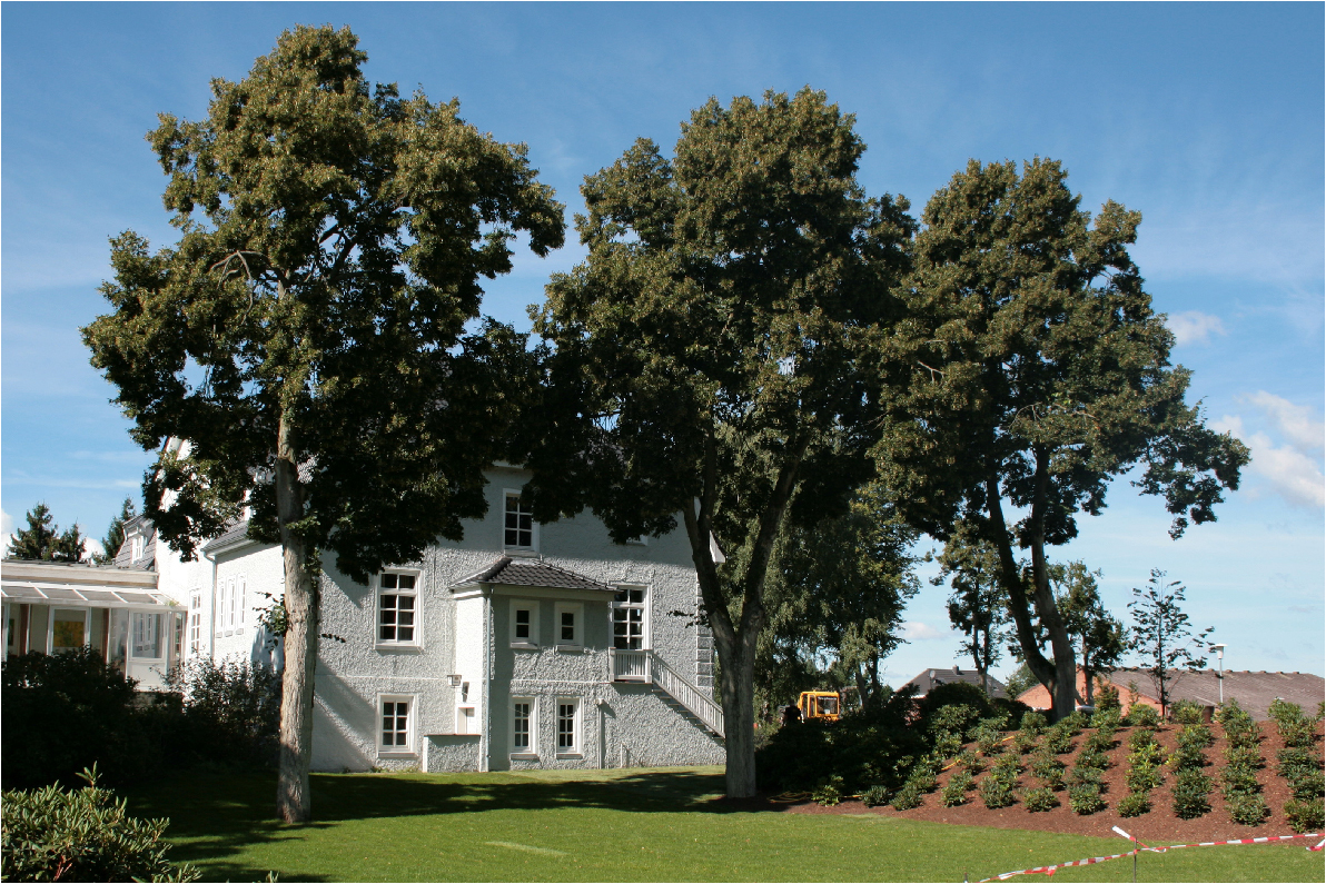 Clubhaus Golfclub Gut Grambek EV - Grünanlage - Rollrasen
